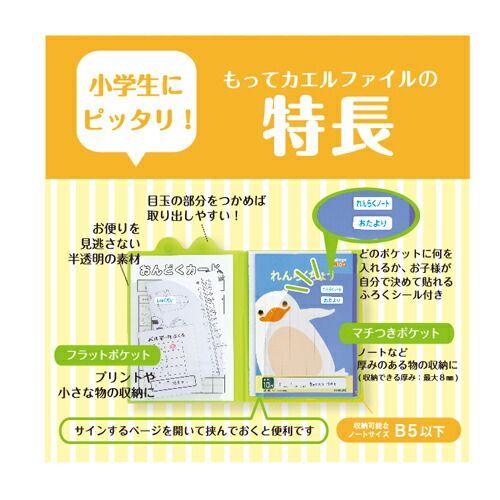 まとめ）#キョクトウ ファイル もってカエルファイル B5 ピンク SE01P