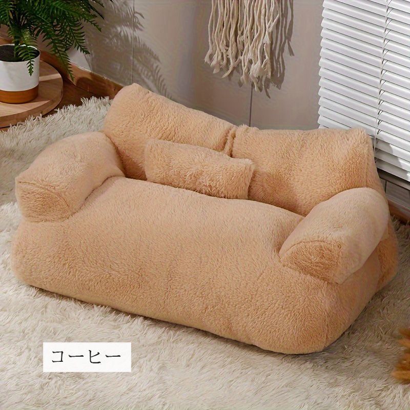 子猫