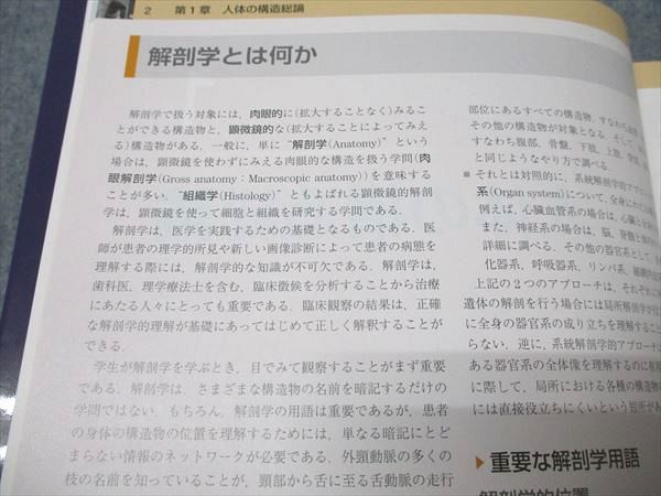 エルゼビアジャパン グレイ解剖学 原著第4版 状態良い 2019