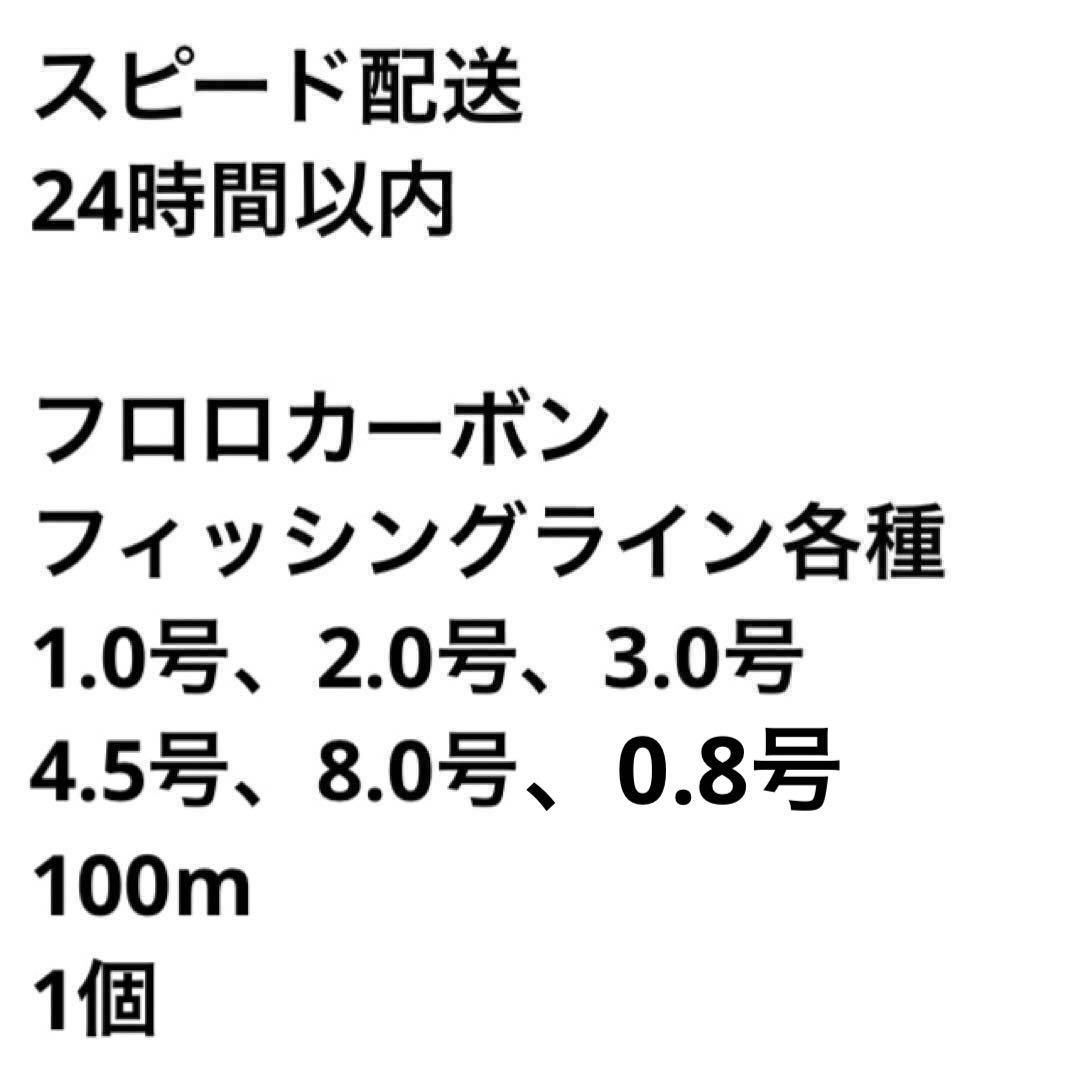 フロロカーボンフィッシングライン100m 0.8号 1個 釣糸 道糸 - 釣り糸