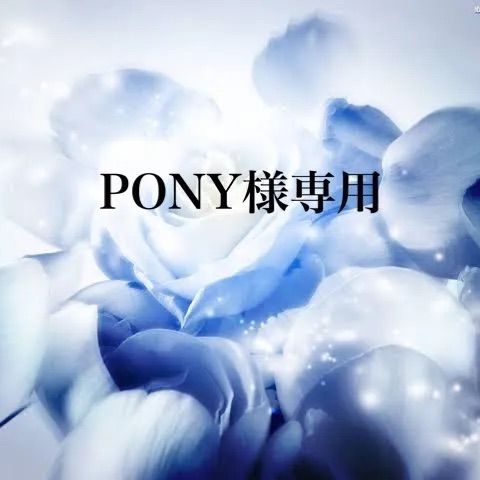 PONY様専用 - メルカリ pony様専用 My mina様専用 ✱きろくん様専用 PONY様専用 - メルカリ pony様専用 My mina様専用 ✱きろくん様専用