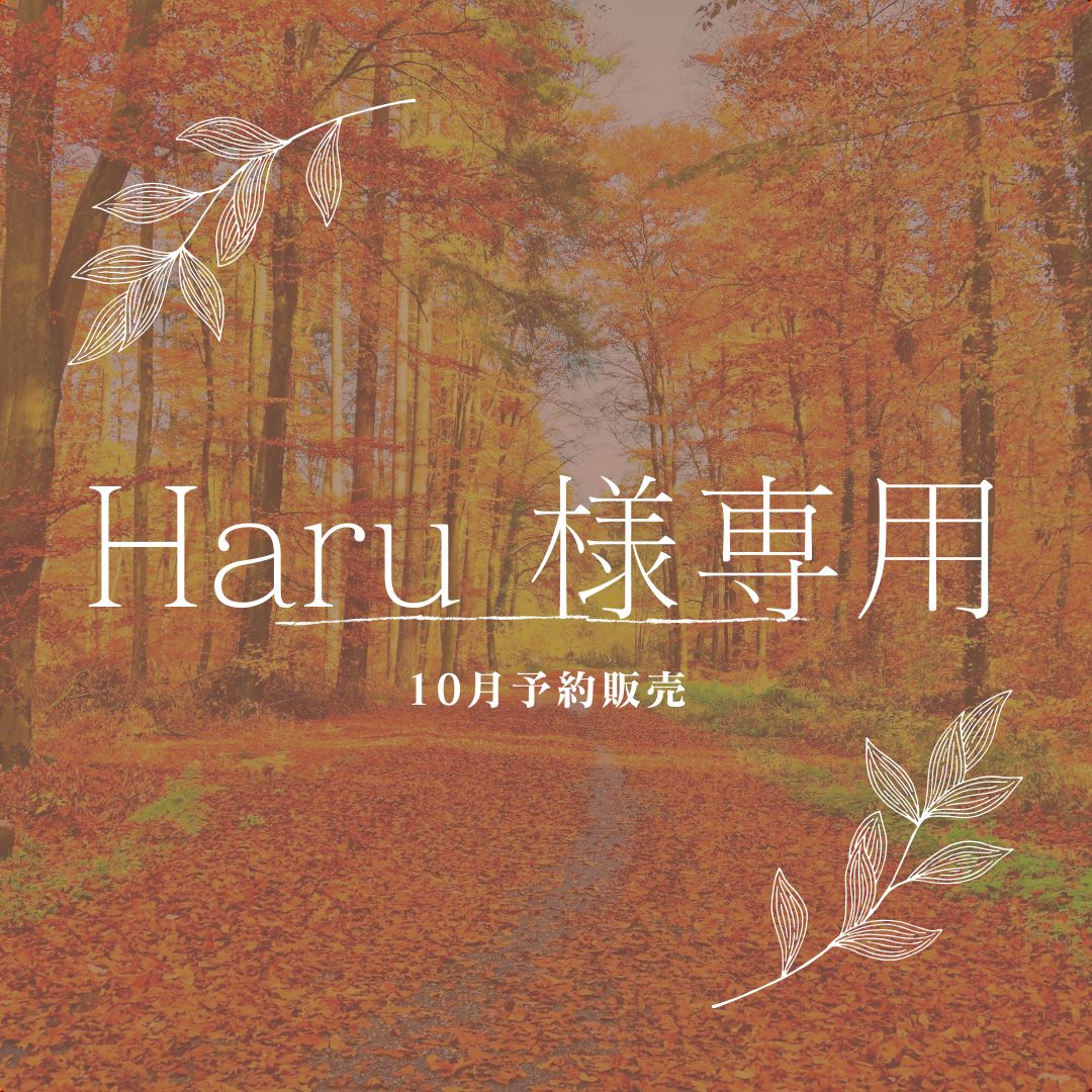 【Haru 様専用】