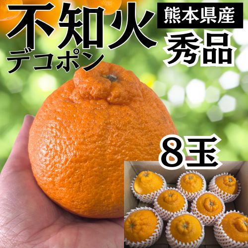 今季ラスト！不知火 8玉☆秀品☆ 大玉 贈答品 熊本県産 不知火