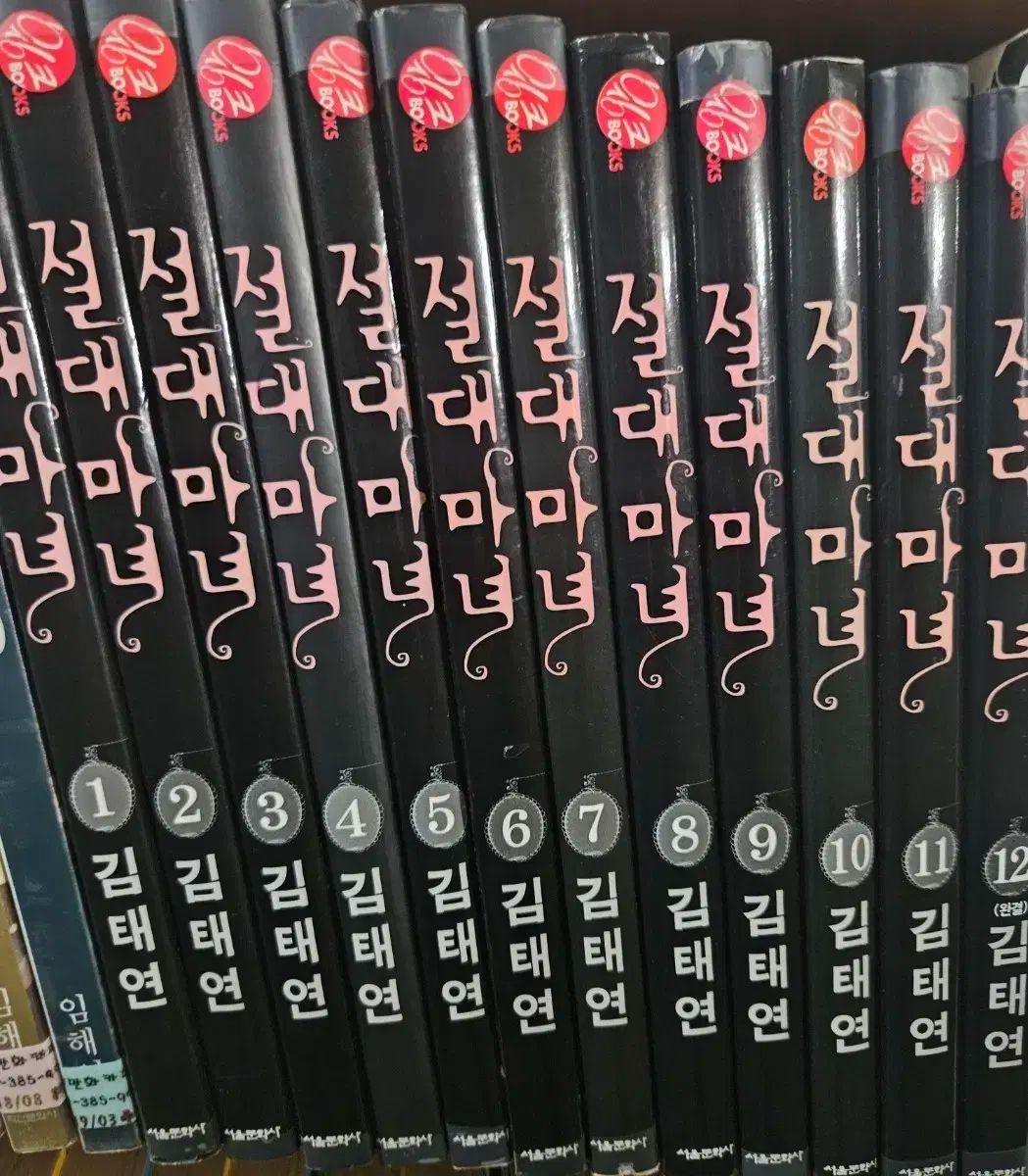 絶対の魔女 1 ー 12 完