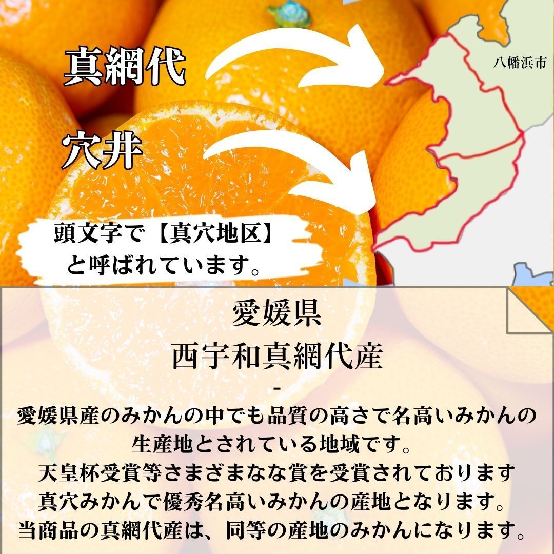 売れ筋 愛媛みかん