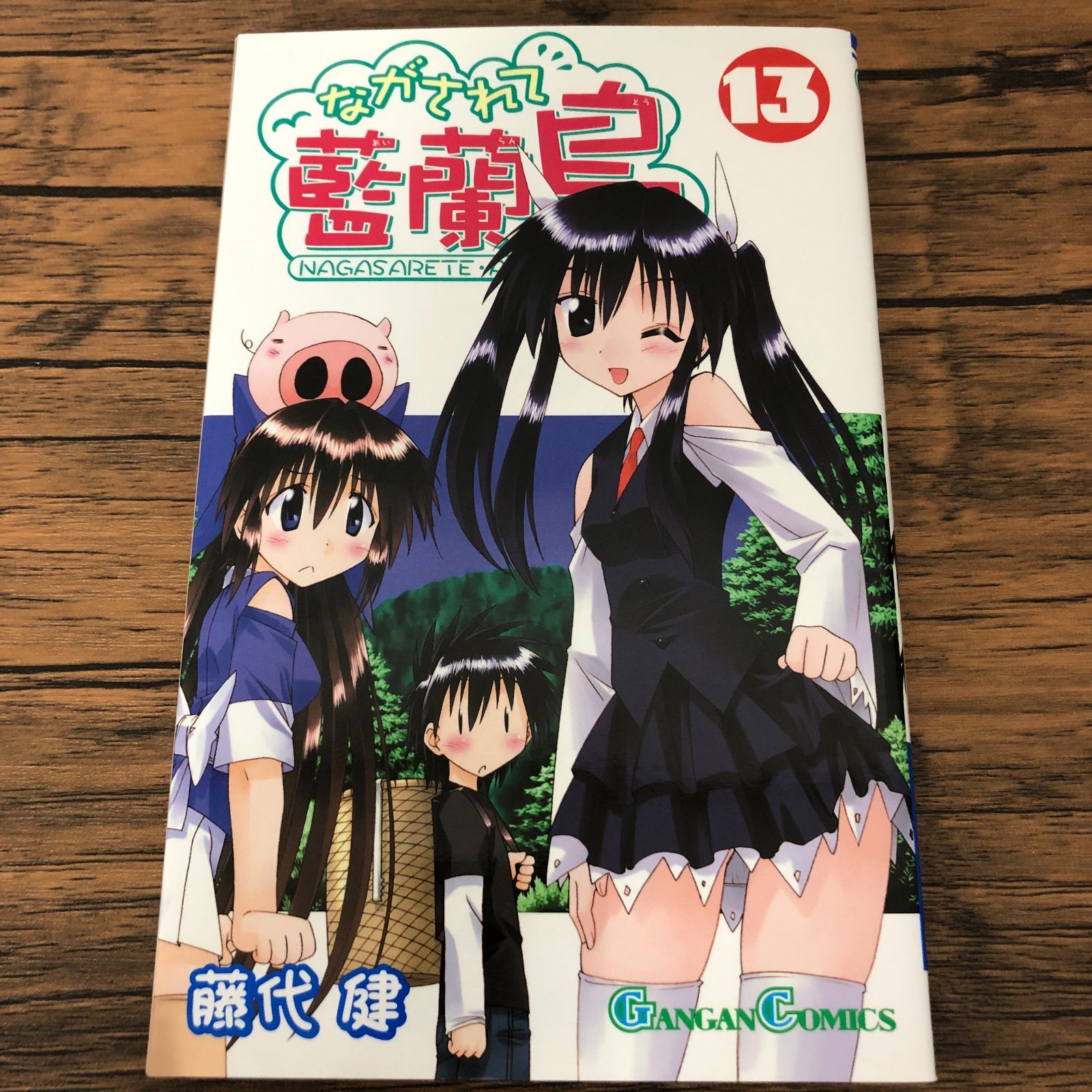 ながされて藍蘭島】13巻/初版/藤代健/GF-0225011712-YP/GF08711