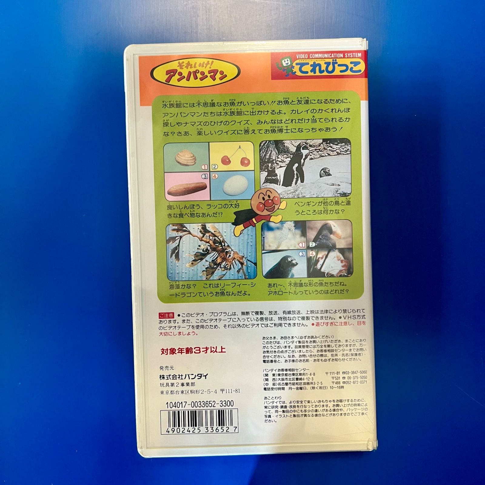 アンパンマン　おしえてこれな〜に？　スペシャルコイン付き　購入特典　廃盤 アンパンマン おしえてこれな〜に？ スペシャルコイン付き 購入