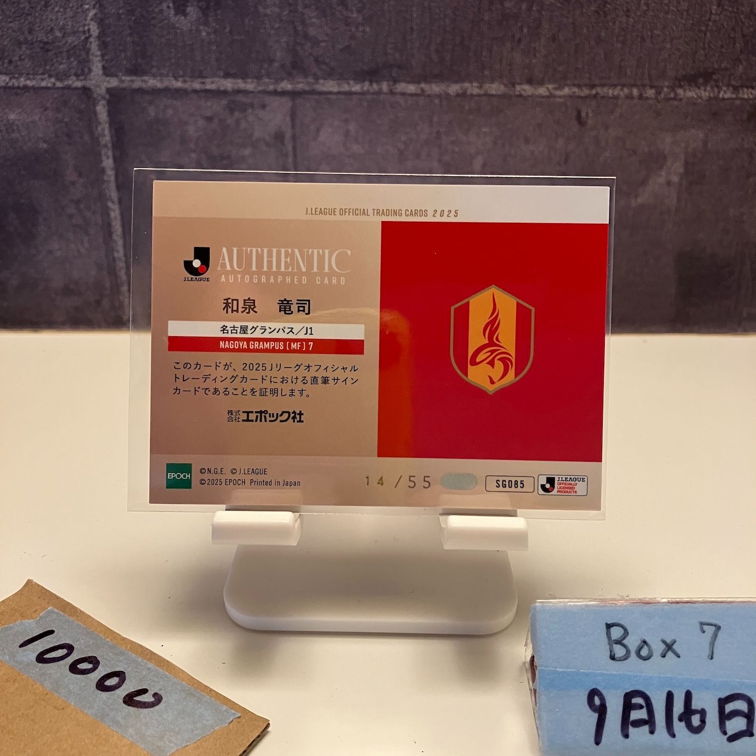 2025 EPOCH J.LEAGUE 和泉竜司 14 55 直筆サイン 名古屋グランパス カード