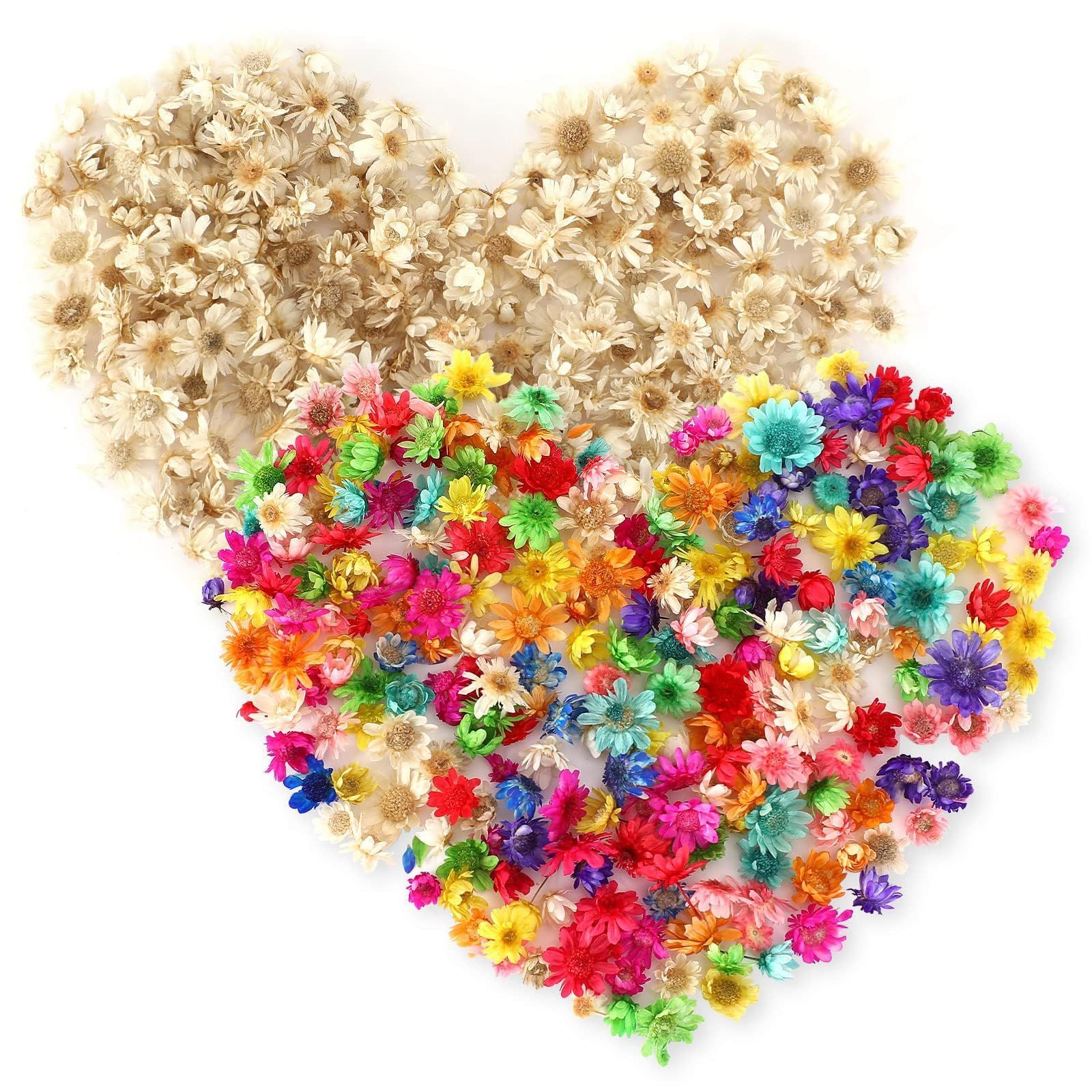 押し花・ドライフラワー花材 EriNa Neiang ドライフラワー レジン用 400個入り 押し花 乾燥シート レジン