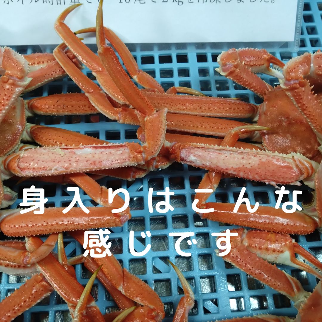 おおずわい6尾から10尾前後入で2.0㎏詰 冷凍便