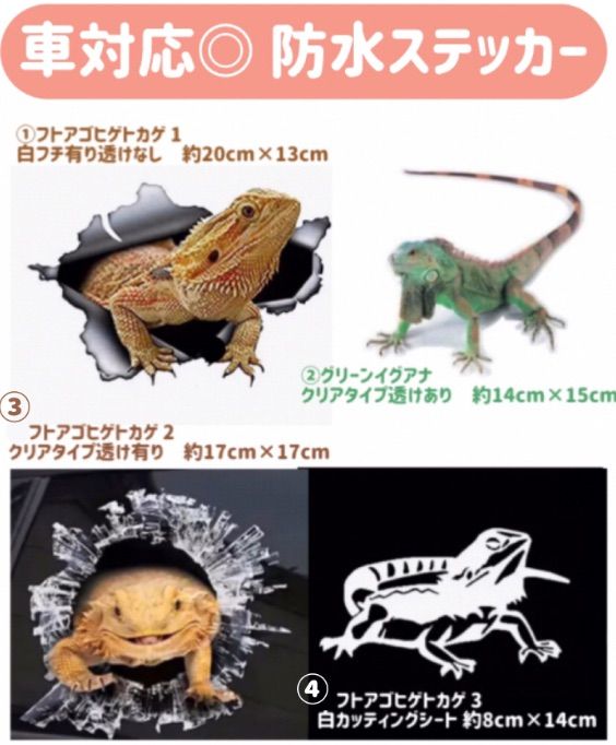 爬虫類 防水ステッカー フトアゴヒゲトカゲ グリーンイグアナ