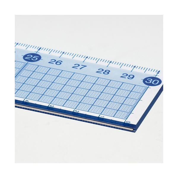 まとめ レイメイ藤井 すべらないカッティング定規 50 cm ACJ 1000