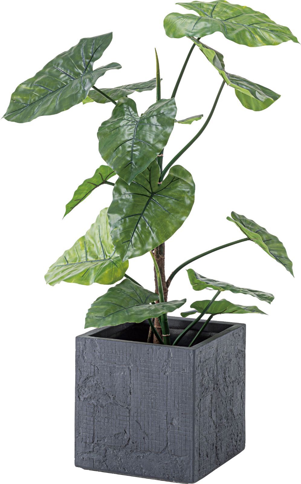 蛇紋石 北海道 風水 激レア 三越 干支 巳年 縁起物 天然石 水石