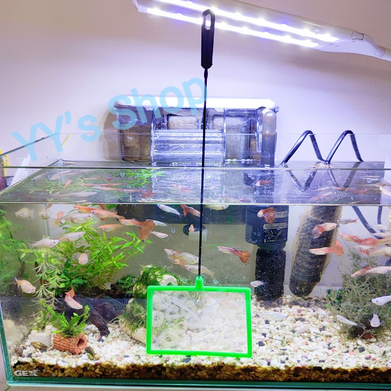 密網 2本セット 水槽 掃除 ネット 金魚 熱帯魚 水槽用品 - 魚用品・水草