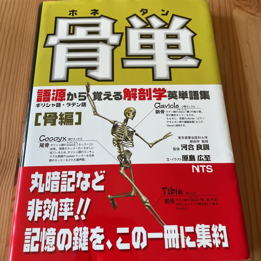 日本新作 肉単、骨単、臓単、脳単 栄養学、体のしくみ 7冊セット - 本