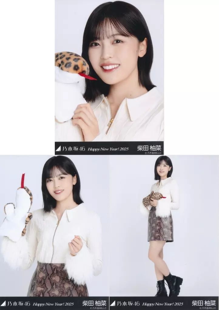 乃木坂46 柴田柚菜 生写真 SR Amazon.co.jp: 【柴田柚菜】 乃木坂46 ここにはないもの 封入