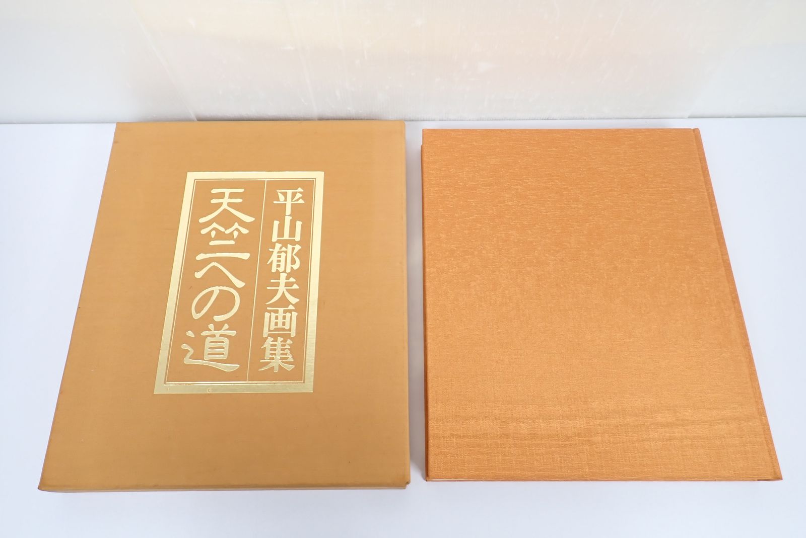 平山郁夫 画集 天竺への道 限定600部 読売新聞社 - メルカリ