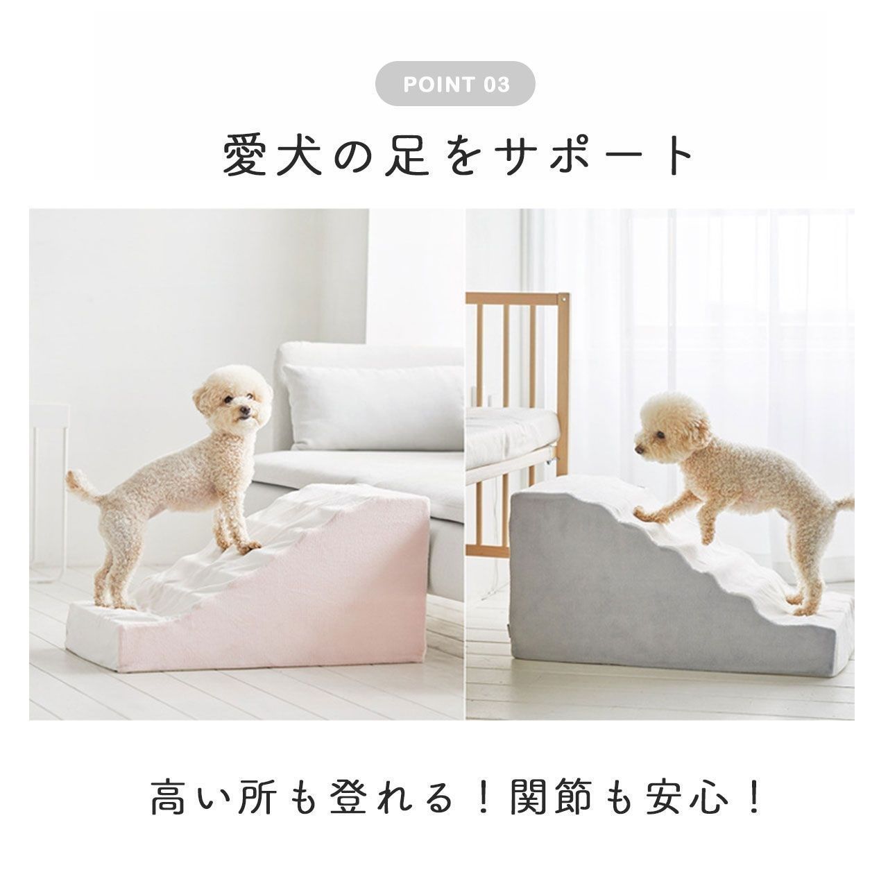 高齢犬 ステップ