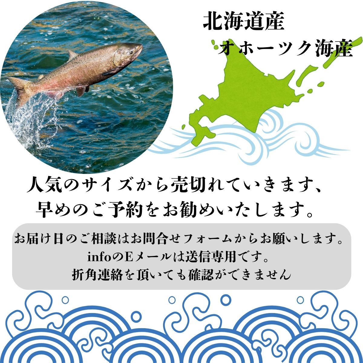 北海道産新巻き鮭2Lサイズ3,00kg～3,49kg