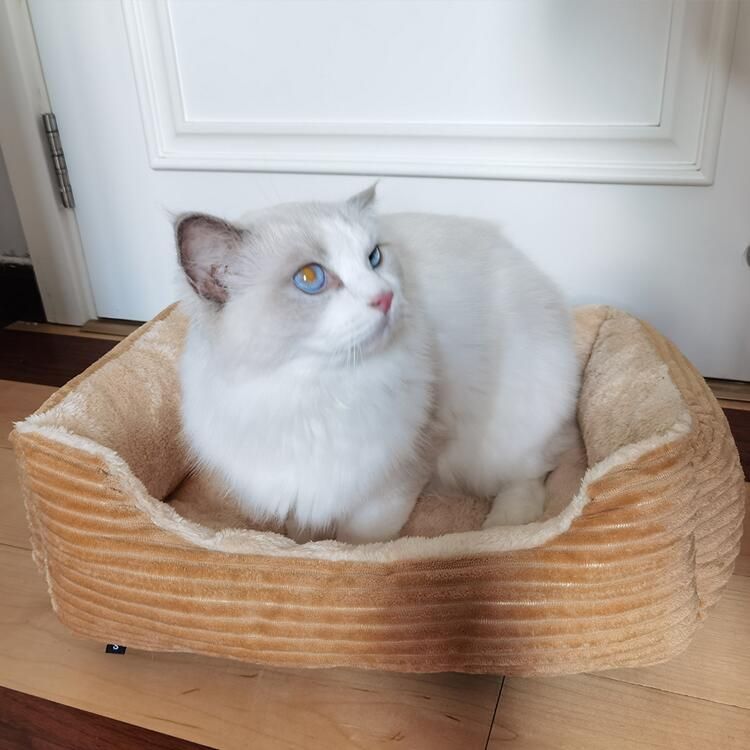  ふわふわベッド 犬 猫 ねこ ベッド ペットベッド 猫ベッド マット 保温防寒 洗える 寒さ対策 滑り止め 猫のベッド 猫用ベッド zhenlanyi 01 ベッド クッション ベッド クッション ハウス