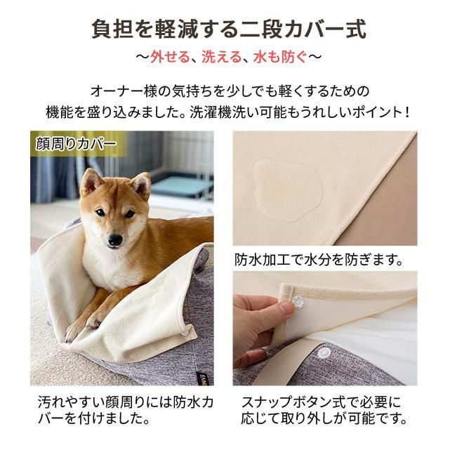 シニア