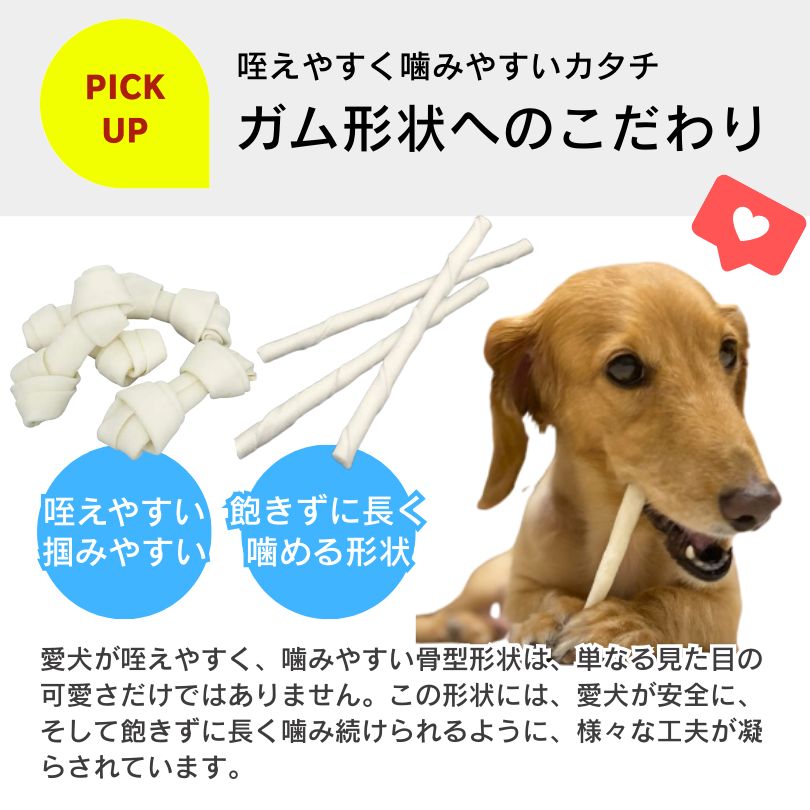 骨型 ミニ