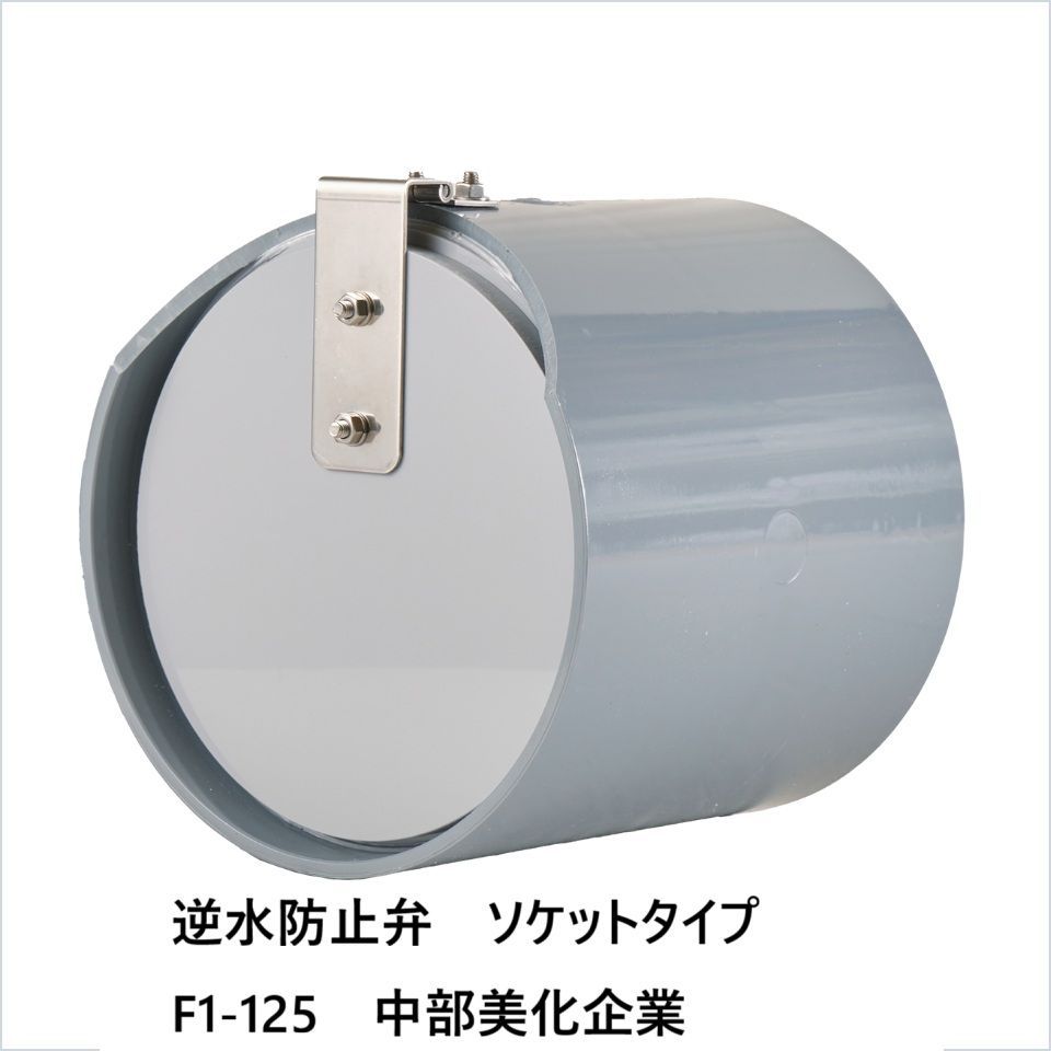 逆水防止弁 ソケットタイプ F1-125 中部美化企業