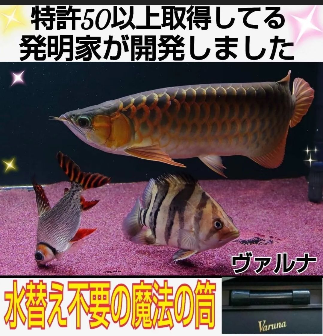 ディスカスの飼育者も絶賛！ヴァルナ☆水槽の透明度アップ！有害物質 
