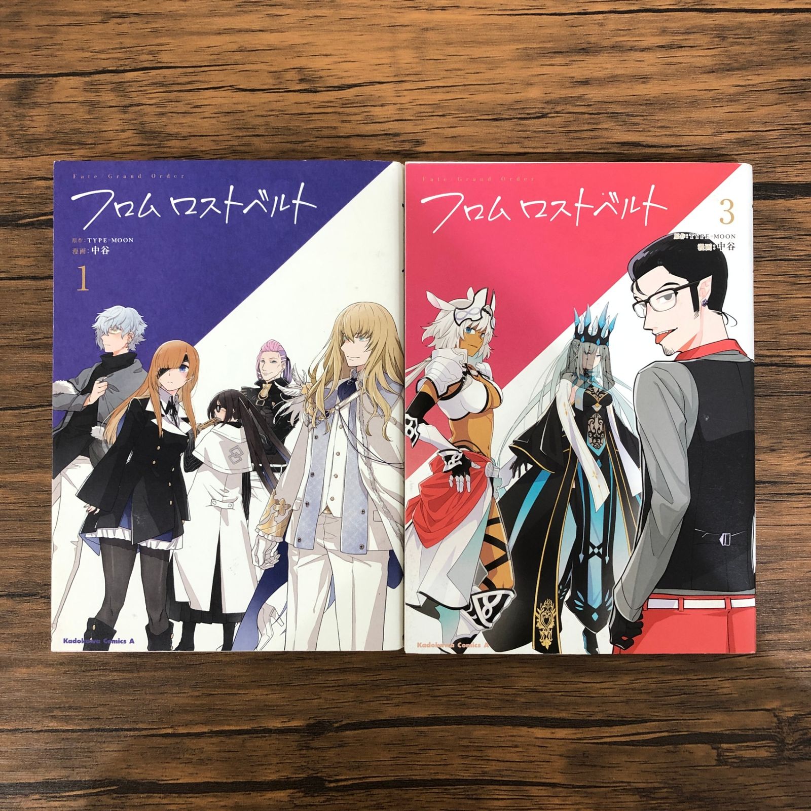 Fate / Grand Order フロムロストベルト（1、3）/中谷/GF