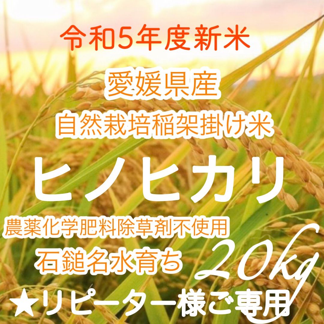 ★リピーター様限定★自然栽培 農薬化学肥料除草剤不使用令和5年度新米愛媛県産ヒノヒカリ 稲架掛け米(天日干し米)  20kg