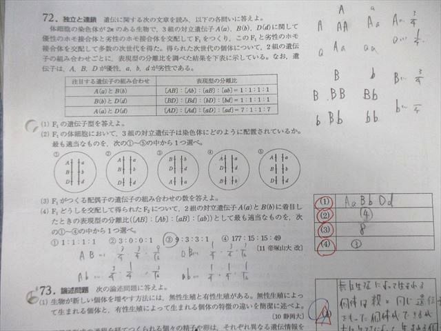 茨城県立竹園高校 高3多数 生物 教科書・プリントセット 定期考査付き 2024年3月卒業 055M9D 茨城県立竹園高校 高3多数 生物 教科書・プリントセット 定期