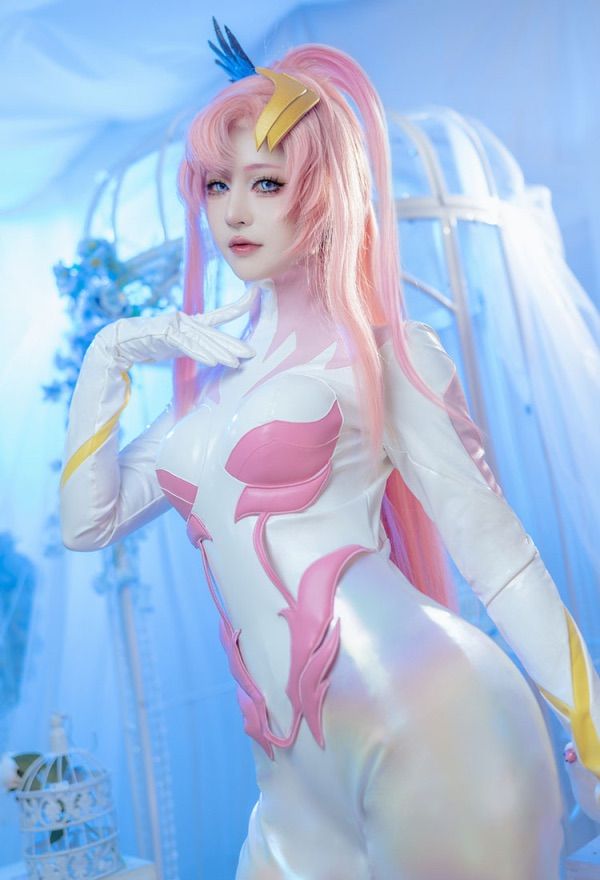 機動戦士ガンダムSEED DOM ラクス コスプレ 衣装