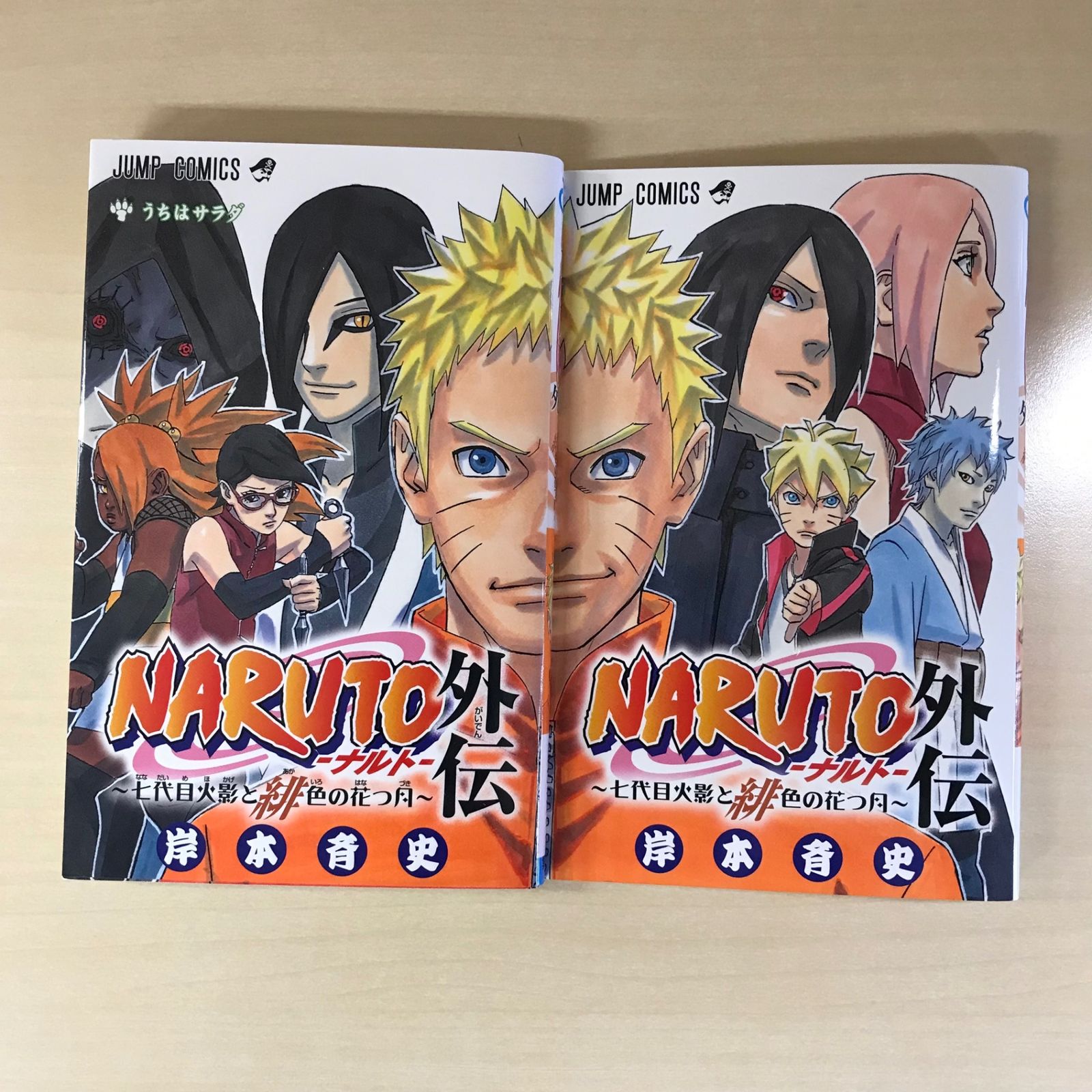 初版・おまけ付】ナルト外伝〜七代目火影と緋色の花つ月