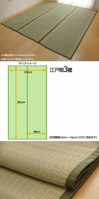 純国産 草津 い草上敷 双目織 江戸間3畳 1100633