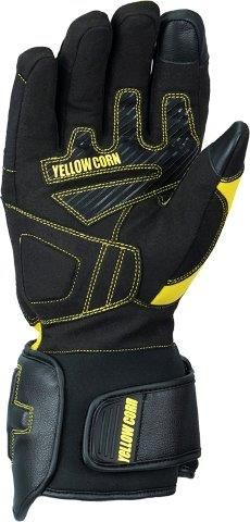 ウィンターグローブ