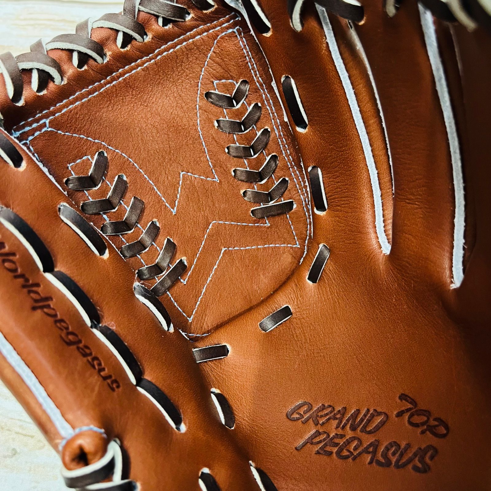 ワールドペガサス