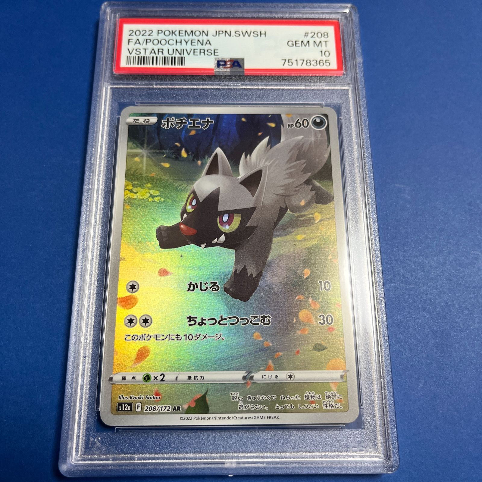 PSA10 ポチエナAR s12a-208/172 ワンオーナー品 ポケモンカード鑑定品 ...