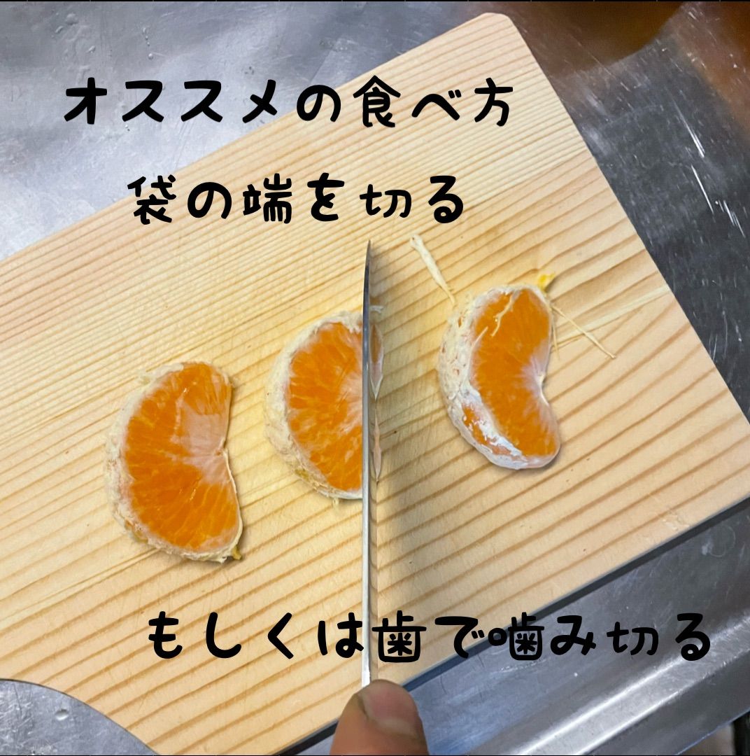 のサムネイル