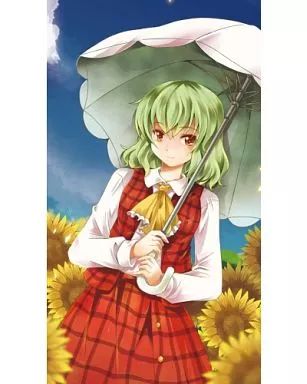 [Used] Doujin Mobile, PC, Game Accessory Related [Touhou Project] iPhone 5 Case Kazami Yuka (michi) /Ah Saikai (ah so)
