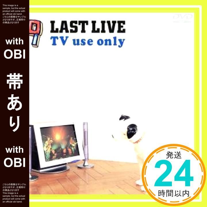 ミュージック SQUEEZE!! 2008.1.19 LAST LIVE DVD DVD 19 LAST LIVE TV use only ミュージック SQUEEZE!! 2008.1
