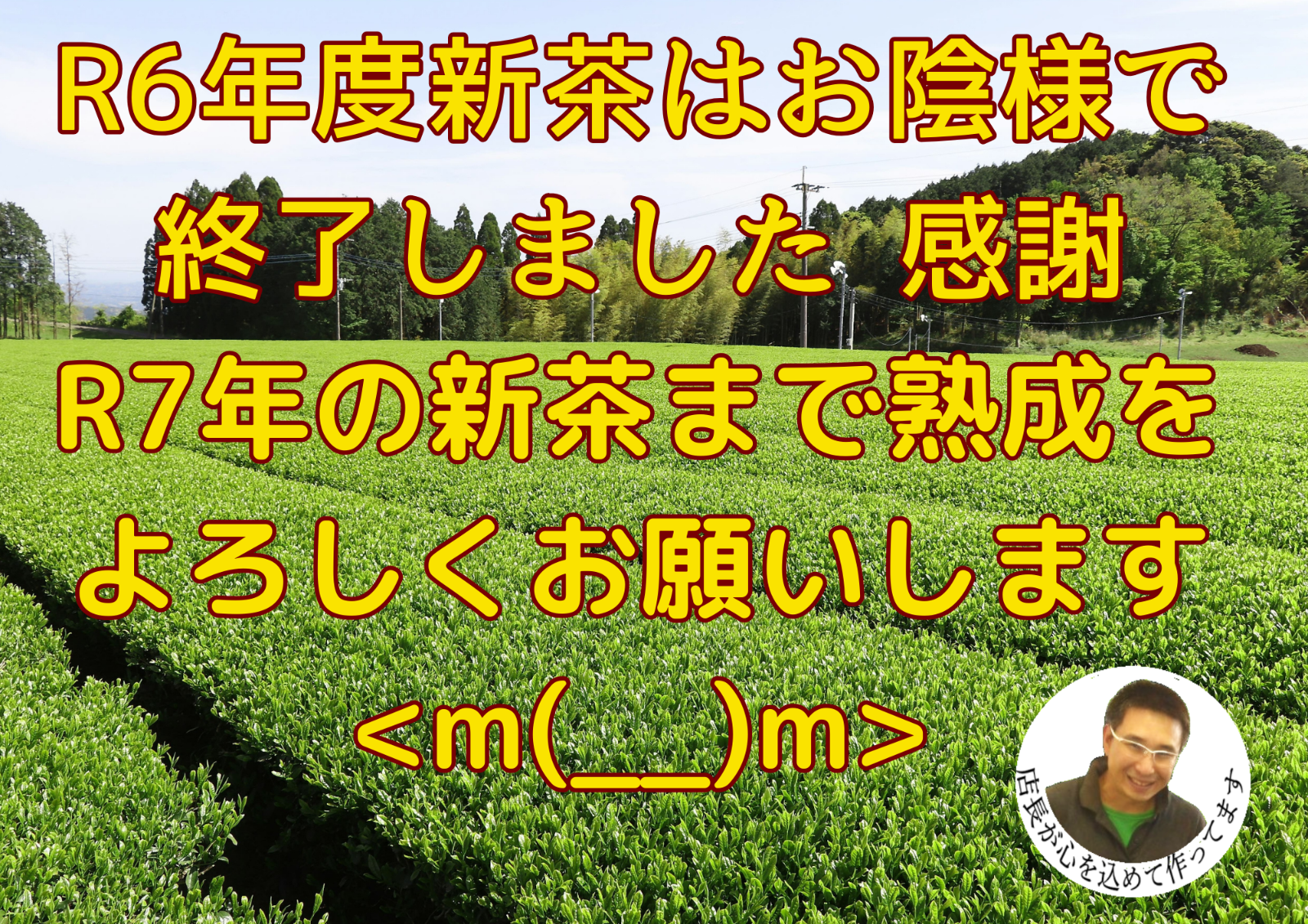 お歳暮　全国 送料無料　新茶　熟成　緑茶　健康 　訳あり　知覧茶あらづくり　100ｇ