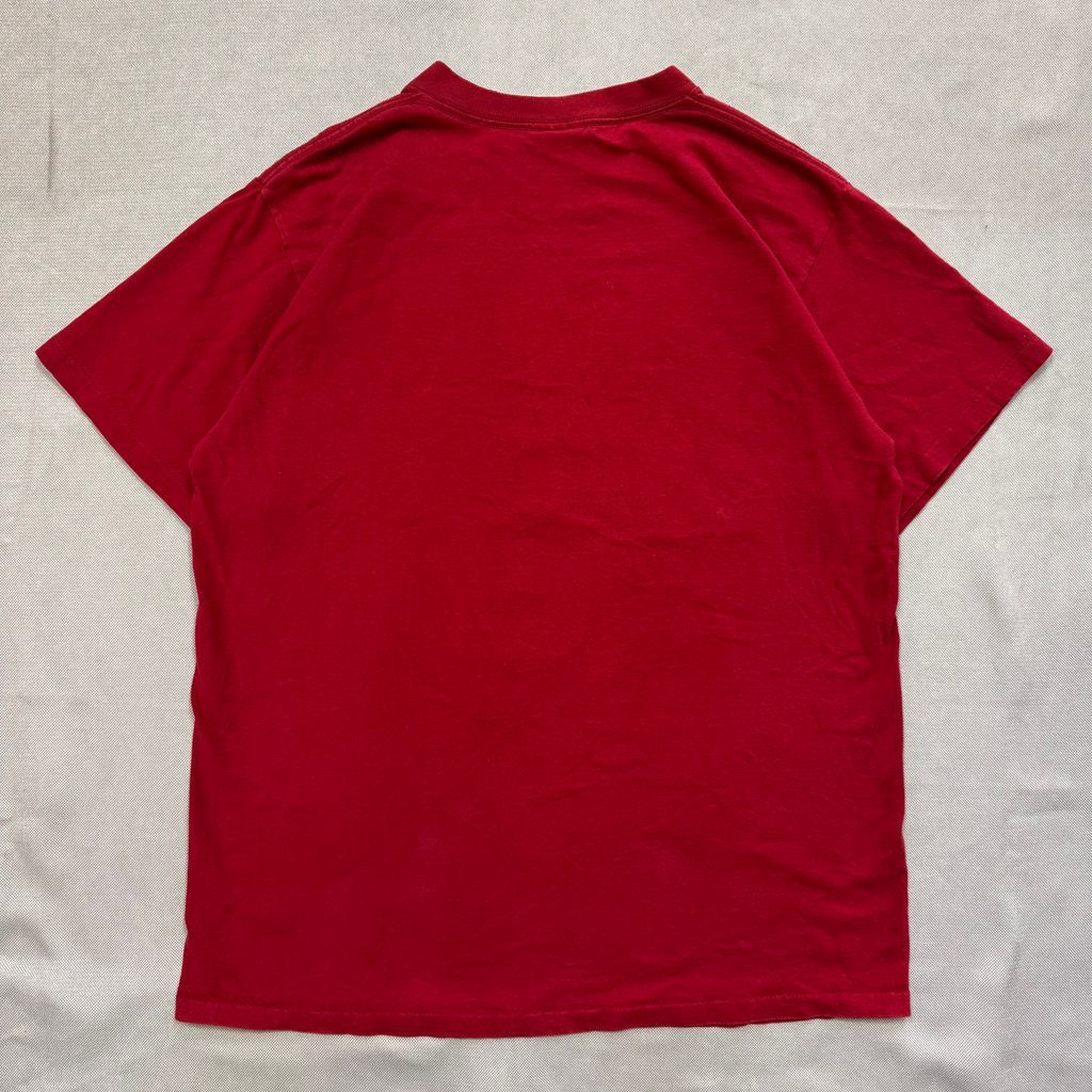 80s USA製 NUTMEG REDSKINS NFL レッドスキンズ フットボール T