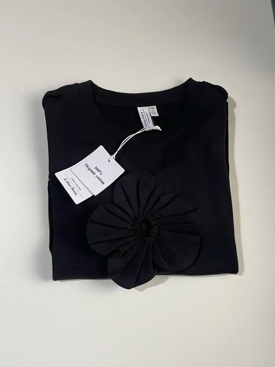 Tシャツ M