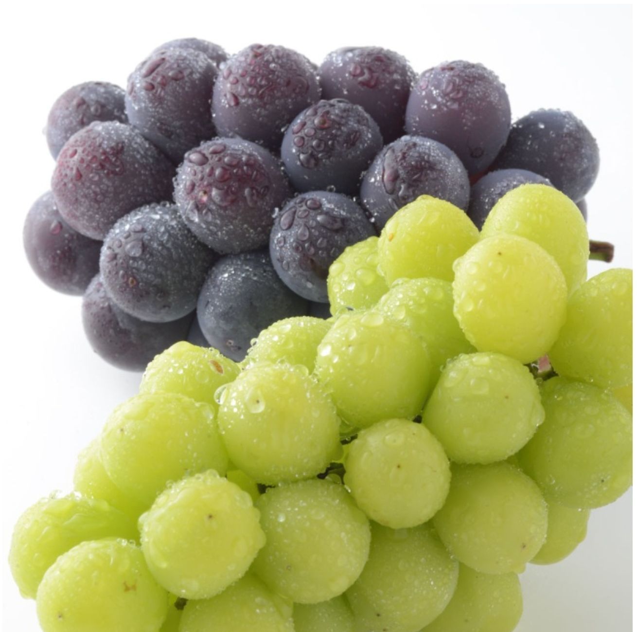 ２品種詰め合せ