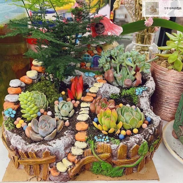 ハウスプランター ガーデニング 鉢 プランター フラワー 多肉 寄せ植え　B 楽天市場】鉢 多肉植物 寄せ植え 植木鉢 セメント プランター