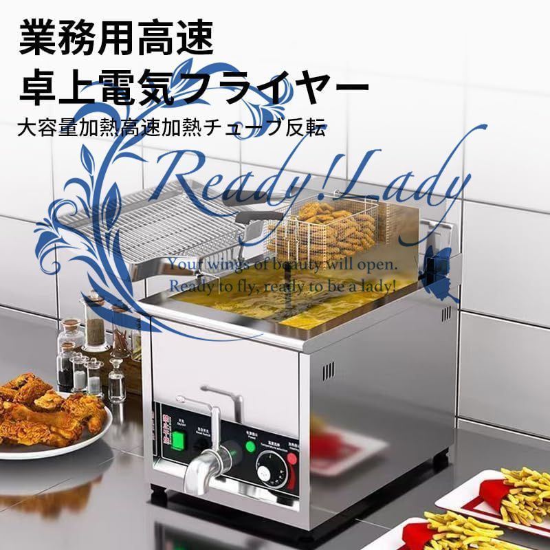 業務用フライヤープロのガスフライヤー バスケットと蓋付業務用家庭用キッチン用金属管付きステンレス鋼カウンタートッププロパン