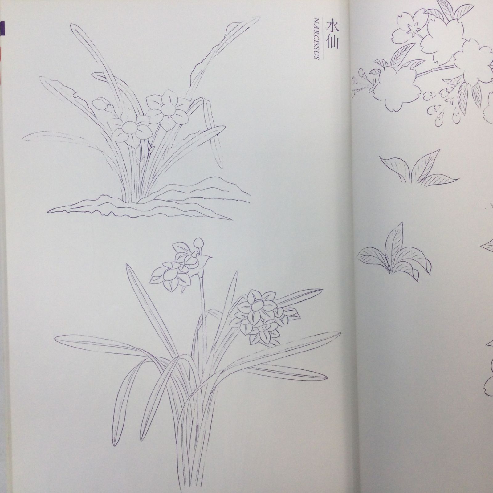 6180 日本刺繍下絵集 斎藤磬 京都書院 昭和61年 1986年発行 京都書院
