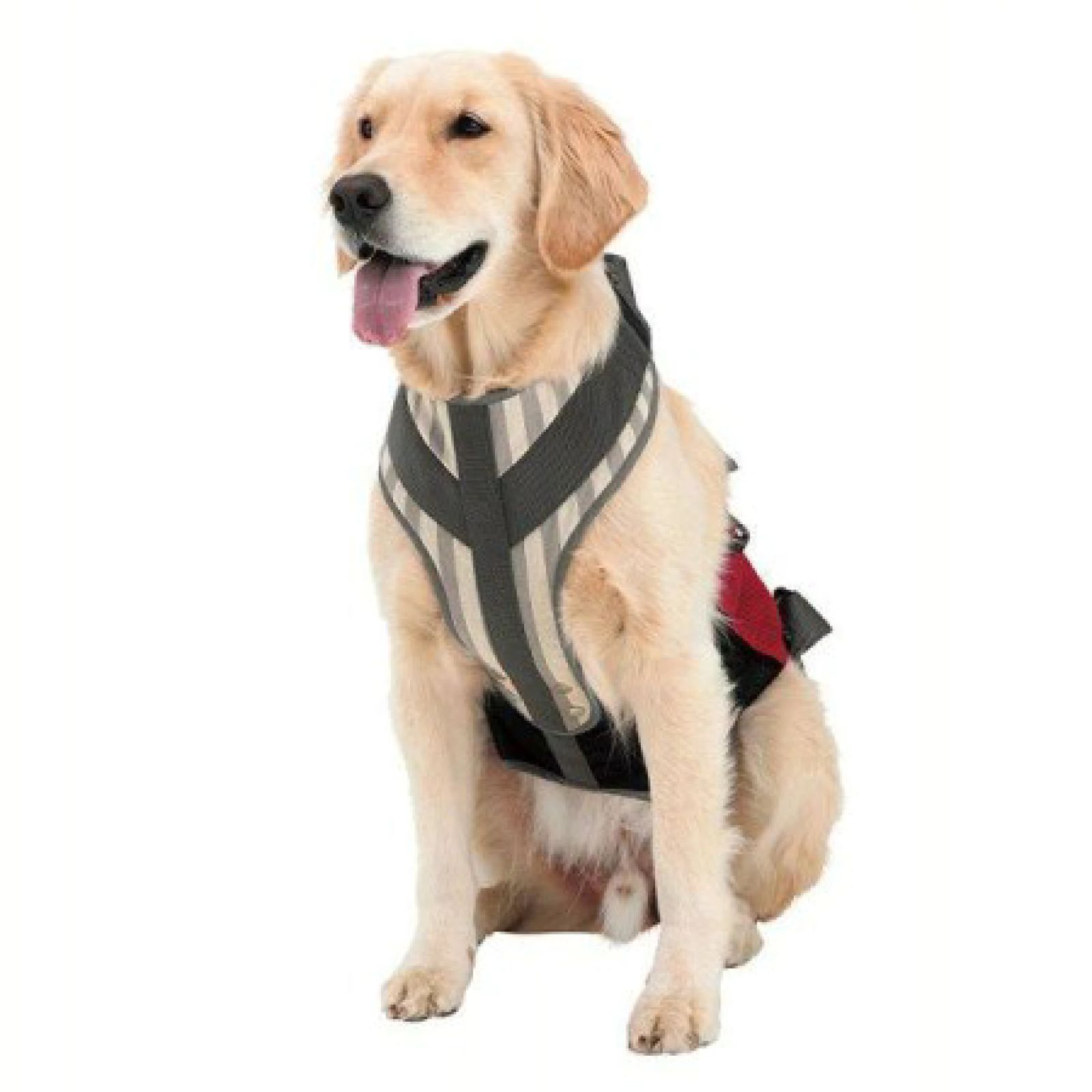 トンボ 歩行補助ハーネス LaLaWalK 大型犬用 メッシュボーダー SS