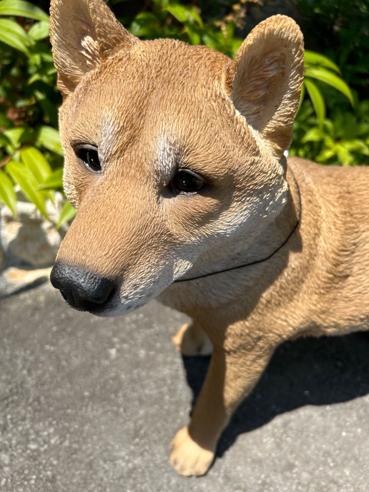 置物 犬 柴犬 玄関用 本物そっくり 柴犬 置物 リアル