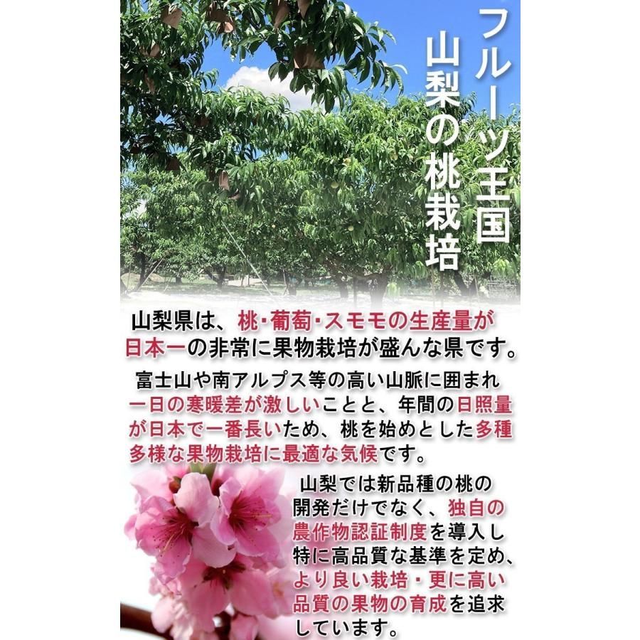 山梨県笛吹市　桃(はなよめ)訳あり20〜22玉